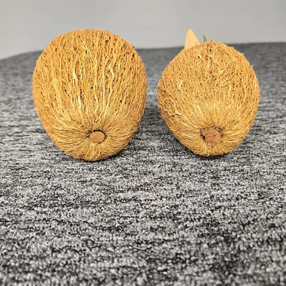 2 Rustic Decorative Apple Figurines Crafted Woven Natural Fibers & Twig Stem